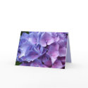 Blue Hydrangeas Card