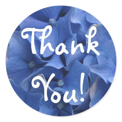 Blue Hydrangeas Sticker by ggbythebay