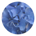 Blue Hydrangeas Sticker