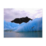 Blue ice berg postcard
