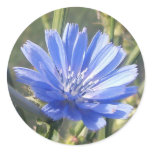 Blue in the Afternoon Decorative Sticker stickers