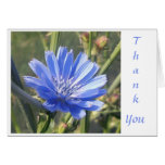 Blue in the Afternoon cards