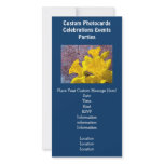 Blue Invitations Photocards Events Daffodils Personalised Photo Card
