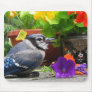Blue Jay and Flowers
