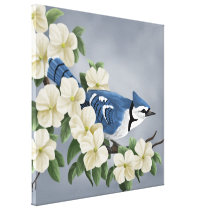 Blue Jay Art Prints