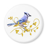 Blue Jay Beauty Refrigerator Magnet