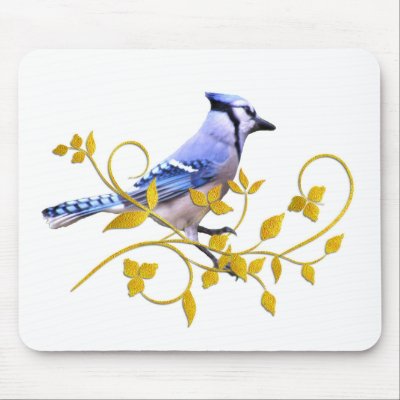 Blue Jay Beauty Mouse Pad by TLArnold