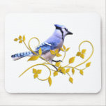 Blue Jay Beauty mousepads