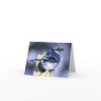 Blue Jay Bird Lovers