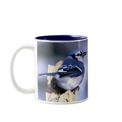 Blue Jay, Blue Jay Mugs by WildByDezign