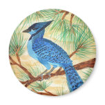 Blue Jay by Wendy C Allen