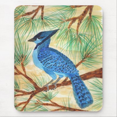 Blue Jay by Wendy C Allen by pidgiefund