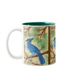 Blue Jay by Wendy C Allen Mugs