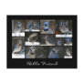 Blue Jay Collage Postcard