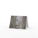 Blue Jay in the Snow cards