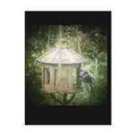 Blue Jay on Bird feeder Post Card