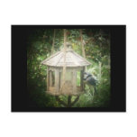 Blue Jay on Bird feeder Post Card