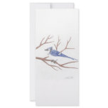 Blue Jay Rack Card rack cards