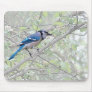 Blue Jay Songbird Mousepads