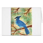 Blue Jay Watercolor by Wendy C Allen