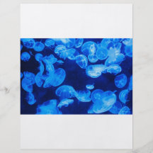 Blue Jellyfish underwater Flyer Design