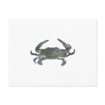 Blue "Jimmy" Crab Post Card