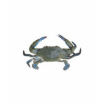Blue "Jimmy" Crab t-shirts