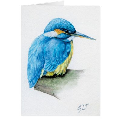 Blue Kingfisher fine art card by Mylittleeden