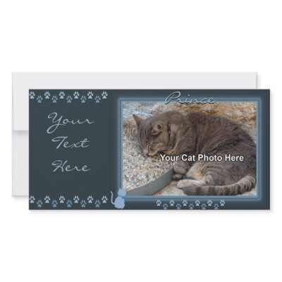 Blue Kitty Frame Photo Card by CrazyCatLadies