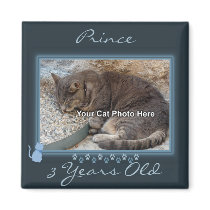 Blue Kitty Frame Photo Magnet