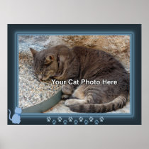 Blue Kitty Frame Photo Poster Print