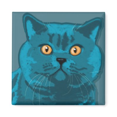 Blue kitty magnet by nefera