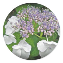 Blue Lace Hydrangea Coordinating Items Round Stickers
