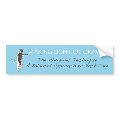Blue Lemur Bumper Sticker by AmSAT2009