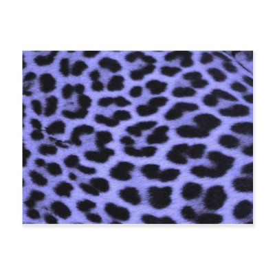Blue Leopard print background Postcards by Ravenspark79