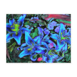 Blue Lilies Postcard