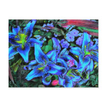 Blue Lilies Postcard