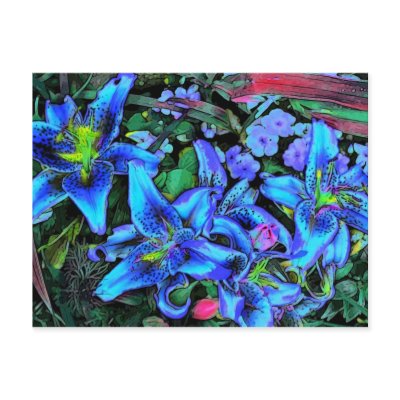 Blue Lilies Postcard by ginaayerssignore