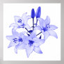 Blue Lilies Posters