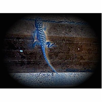 Blue Lizzard Acrylic Cut Out by cindyriley49