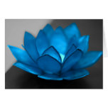 Blue Lotus Flower