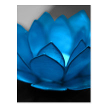 Blue Lotus Flower Postcards