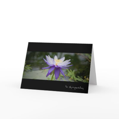 Blue Lotus • Sympathy Card by SabineStGreetings