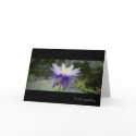 Blue Lotus • Sympathy Card