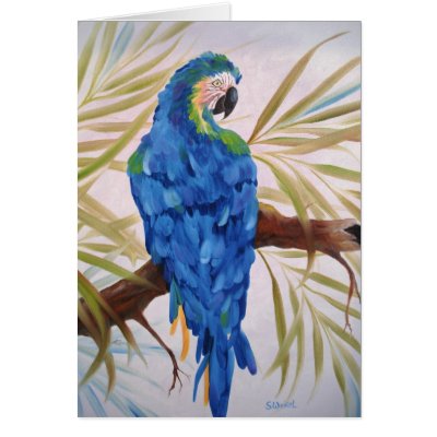 Blue Macaw - Blank Card by SherryWeisel