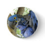 Blue Macaw Button