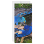 Blue macaw parrots fighting photograph picture rack cards