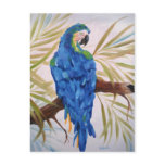 Blue Macaw Post Card postcards
