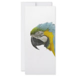 Blue Macaw rack cards