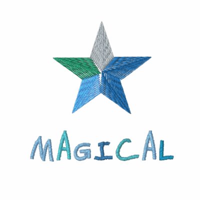 Blue Magical Star Embroidered  Polo Shirt by zooogle